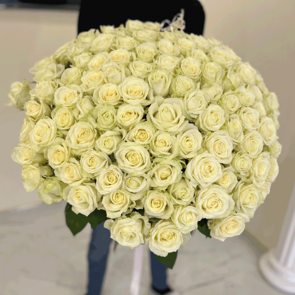 101 белая роза, лента в Ялте