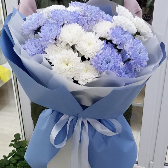 7 белых и голубых хризантем  в Ялте