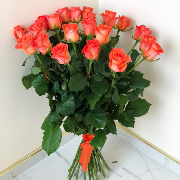 21 коралловая роза, лента в Ялте