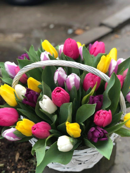 41 тюльпан микс в корзине в Ялте