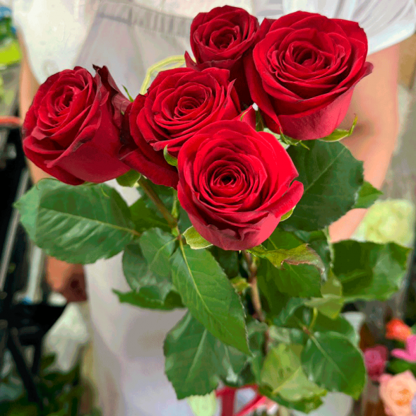 5 красных роз в Ялте