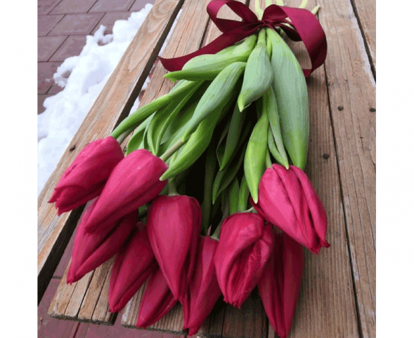 11 красных тюльпанов, лента в Ялте