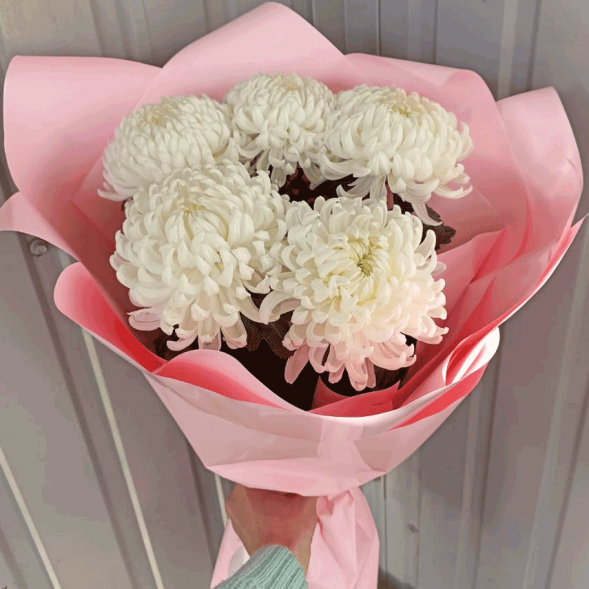 Букет 5 одноголовых хризантем в Ялте