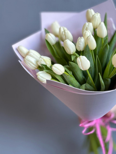 21 белый тюльпан в Ялте