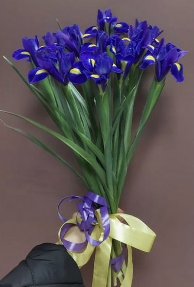 Букет 11 ирисов  в Ялте