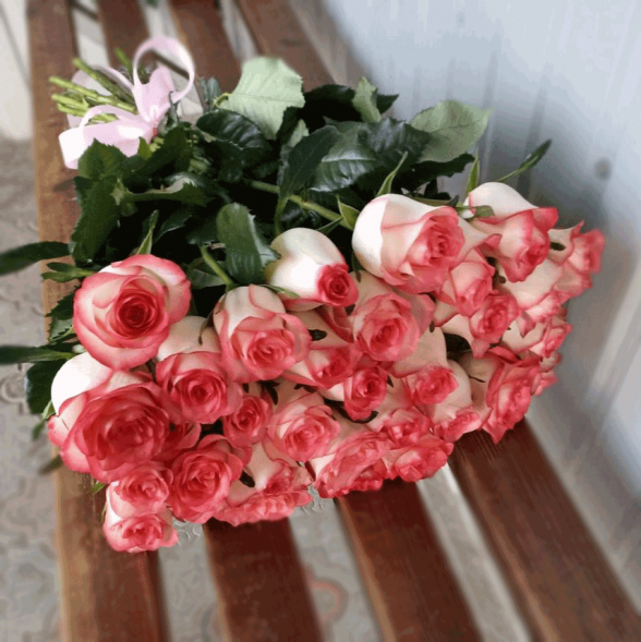 31 розовая роза в Ялте