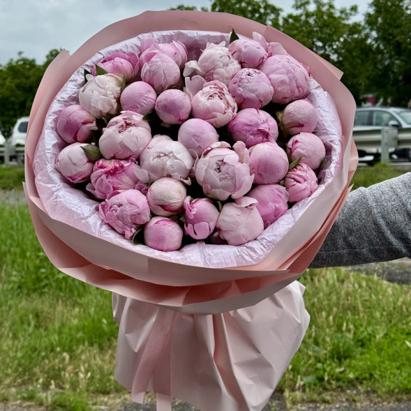 29 пионов &quot;Сара-Бернар&quot; в нежно-розовой упаковке в Ялте