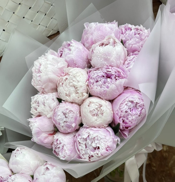 15 пионов Сара Бернар в Ялте